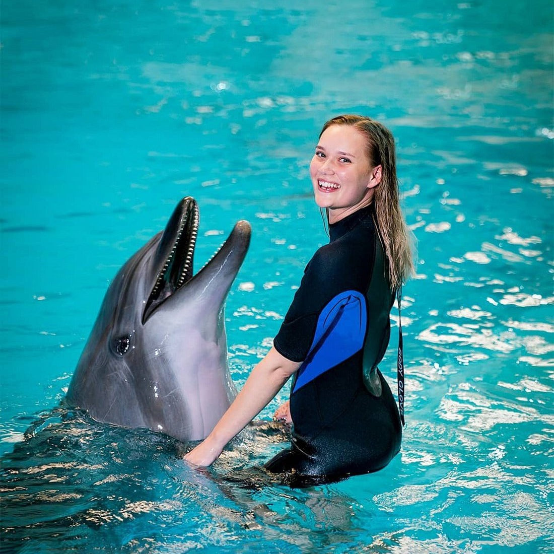Dubai Dolphinarium Tickets
