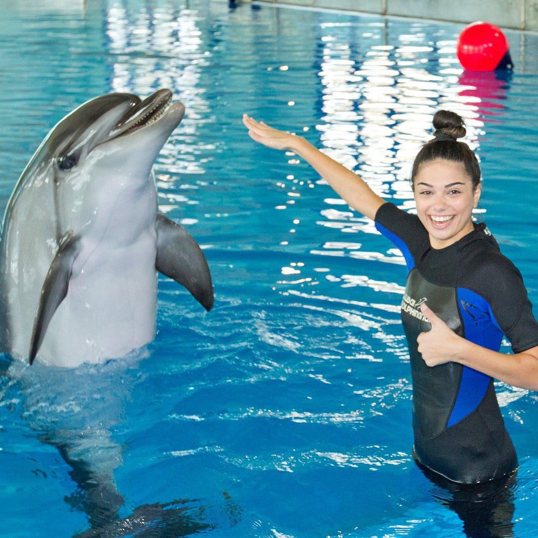 Dubai Dolphinarium Tickets