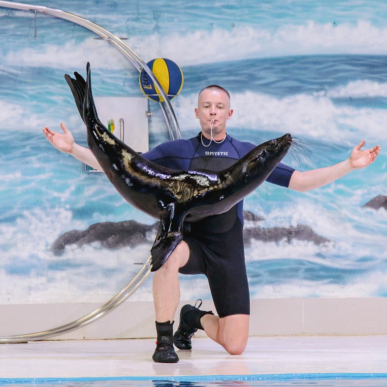 Dubai Dolphinarium Tickets