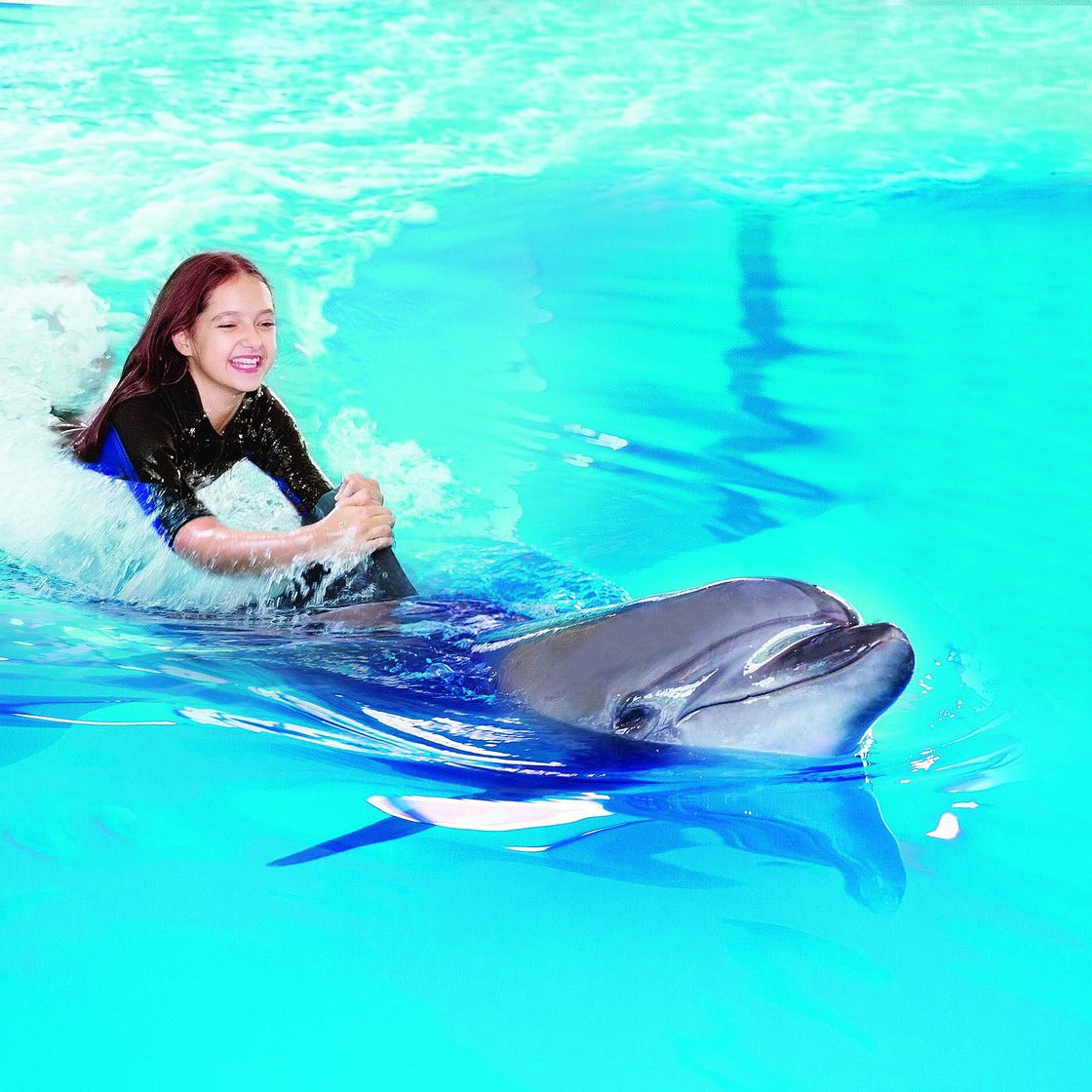 Dubai Dolphinarium Tickets
