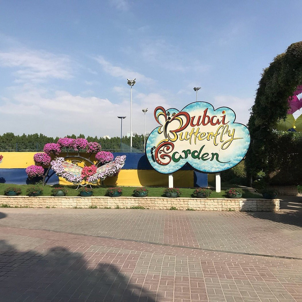 Dubai Butterfly Garden Tickets