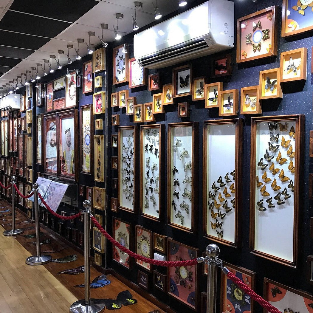 Dubai Butterfly Garden Tickets