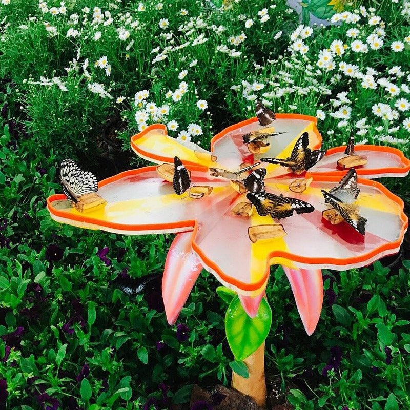 Dubai Butterfly Garden Tickets