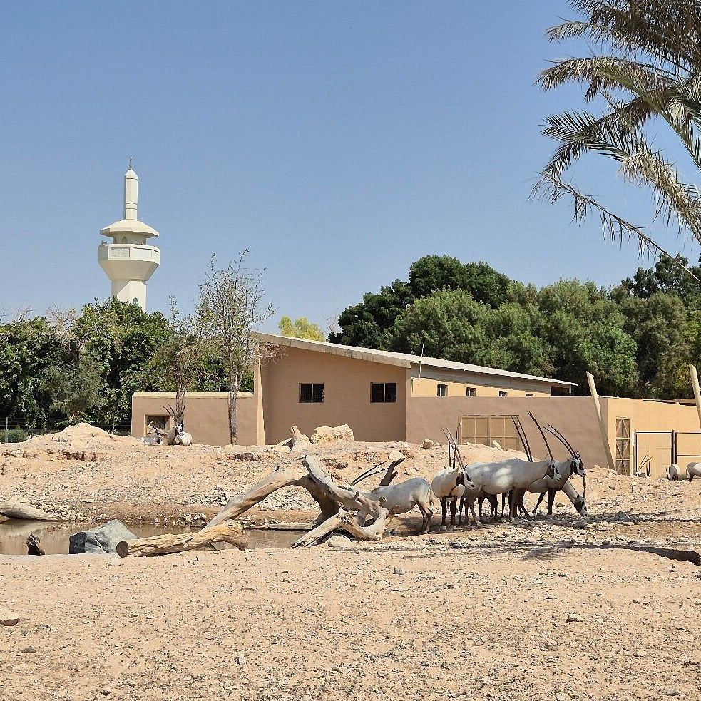 Al Ain Zoo Tickets