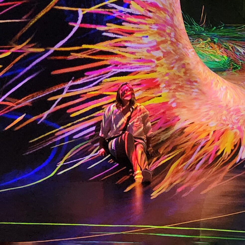 TeamLab Phenomena Abu Dhabi Tickets